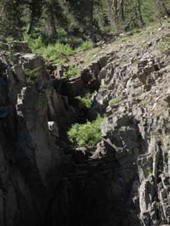 Ravine South of Wolf Creek Pass